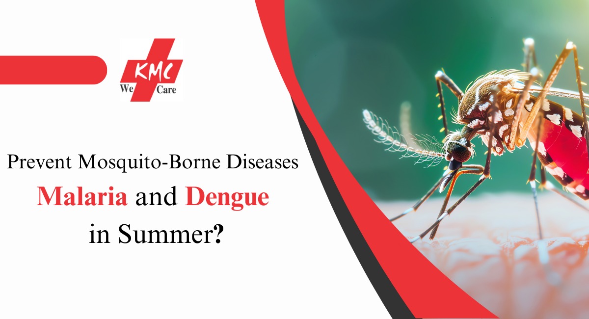 How to Prevent Mosquito-Borne Diseases Like Malaria and Dengue in Summer