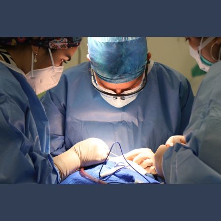 Minimally Invasive Surgery